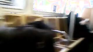 La chica de la minifalda no sabe que la están espiando en el autobús.