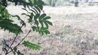 Annian se saca de un miembro del nudista Muscovite y Cums