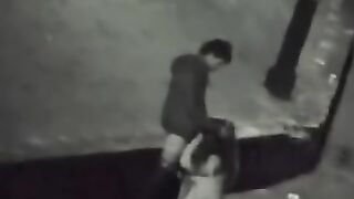 La guardia de la guardia elimina cómo una perra borracha apesta a Dick en el parque.