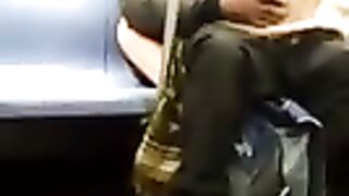 La perra blanca se lame con un hombre negro sentado sobre sus rodillas en el metro de Nueva York