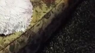 Drunk dude jerked off on a friend's sleeping sister and finished off her feet