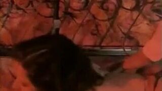 Drncm pareja clásica 1135