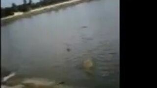 Alligator Whisperer es devorado vivo