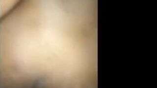 perrito de sri lanka penetrar a escondidas en casa (parte 2)